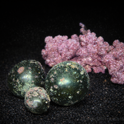 Green algae balls Bubble algae Valonia Glassy Sea Pearls on dark background with rock